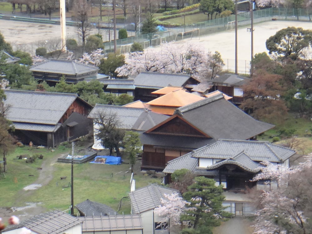 楽々園地震の間